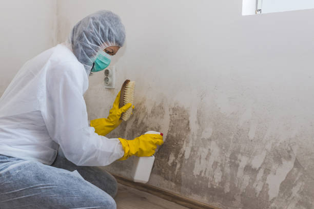 Crawl Space Mold Removal in Decatur, AL